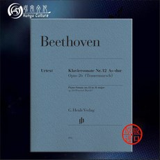 헨레베토벤로망스op.40