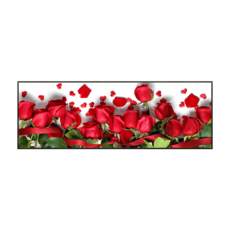 04cbac4d4b0363eaf77f6f69893e25ca616978ed008f08ad454f747c730c.png