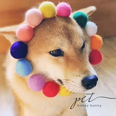 고양이목걸이카메라