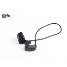 bt1000w