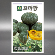 장보고팜 호박씨앗 다농 꼬마짱 5립 미니밤호박 단호박, 1개