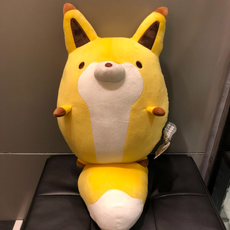 닥터포그미