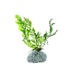 코엑스아쿠아리움최저가