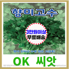 [OK씨앗] [향미고수] 고수씨앗 종자(오케이씨앗), 500g