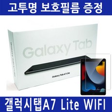 삼성전자 갤럭시탭 A7 Lite 8.7 WiFi 32GB SM-T220 그레이+액정보호필름, 그레이, SM-T220+액정보호필름, Wi-Fi