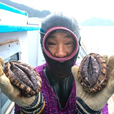 해녀 자연산 완도 활전복 선물세트 홈쇼핑 회전복, 자연산활전복(9-10미)