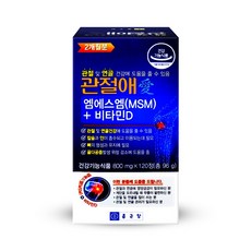 부모님 관절 연골 관절MSM 비타민D 뼈건강 종근당 관절애 120정, 1개