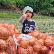 단단한 산청 양파 햇양파 저장 만생종 국산 산지직송 맛있는 양파 5kg 10kg 20kg, 특대/대 10kg, 1개