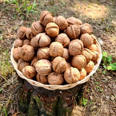 [경북용성] 고소한 국산 견과류 호두 (호두까기 미포함), 1박스, 중 0.5kg