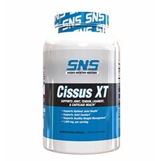 시리어스 뉴트리션 솔루션 시서스XT 서포트 조인트 1600mg 120정