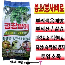 제부도포도농장체험