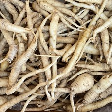 산지직송 제주 세척 더덕 상품, 1박스, 1.6kg