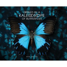 (영문도서) Carried by a Kaleidoscope of Butterflies Hardcover, Palmetto Publishing, English, 9798822958135