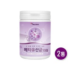 메타포트프로2