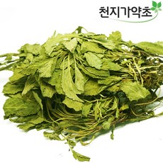 어린배추