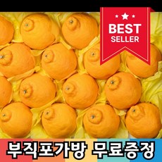 [설선물추천] 명품 한라봉 과일 선물세트, 1박스, 2kg 중대과 (6~12과 / 실중량 1.8kg)
