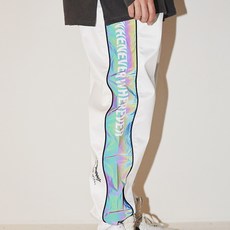 비에스레빗장갑