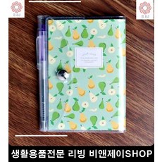 캐리어스프링자물쇠