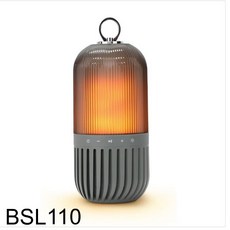 bsl110
