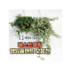 db79a92ff7ba85ba14b0a57e7e55ba9810d3b13bd640eebfc66e4884e736.png