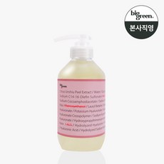 빅그린 임산부 바디워시 500ml, 1개