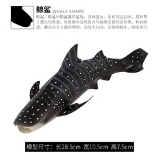 컬렉타백상아리