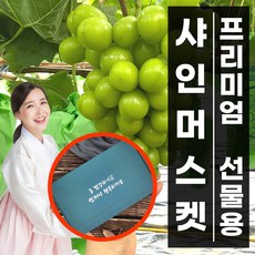 까로망청포도자몽레몬복숭아파인애플체리2kg