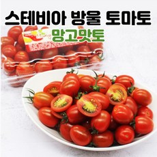 망고방울토마토