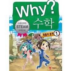 why수학