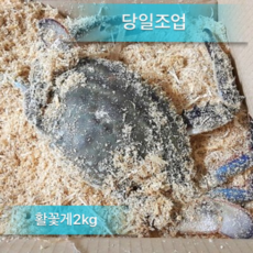 신진도