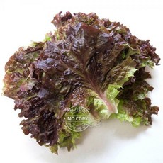 꽃상추4kg