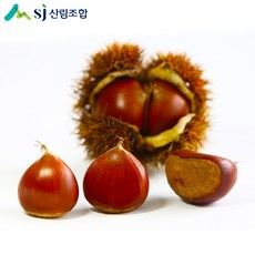 충주산림조합 밤 / 24년산 석추밤 충주밤, 4kg, 1개