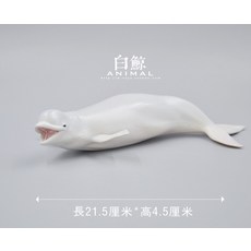 귀욤흰고래
