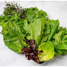 [제주 골래기네] 제주 샐러드 무농약 야채 산지 농장직송, 600g, 1개