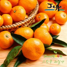 스윗쿡 과일앤 14brix 제주 비가림 하우스 감귤, 1개, 비가림귤 2.5kg 꼬마과(2S미만)