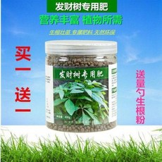 친환경 식물살충제 관리제 식물영양제 부잣나무 전용 비영양액 화훼식물 공용 생근녹엽비료, 01 부잣나무 살 한 병 생근가루 한 숟갈씩, 01 기본 치수