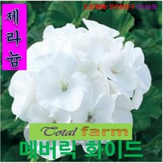 fe07d3808fa10ed402e7a574eb491938dd4d33ff5bbf8a8d673c2e51ecbc.jpeg