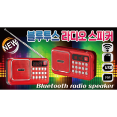 프리미엄 휴대용 어르신 트로트 찬송가 효도라디오 트로트USB 포함