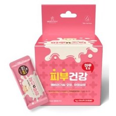 고양이하루채움