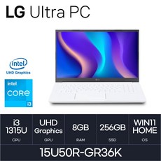 LG전자 울트라PC 15U50R-GR36K