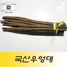 우엉대