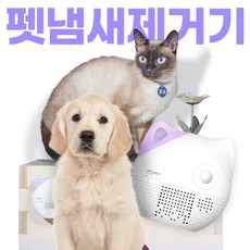 고양이오줌후레쉬