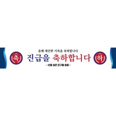 학교 합격 회사 진급 축하 현수막 500x90cm 인쇄제작 출력시안 배너 주문 500cmX90cm jgych-01각목2+끈4 상품 이미지