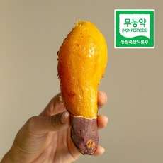 나성주꿀고구마 영암 세척 햇고구마, 1박스, 10kg(상중)