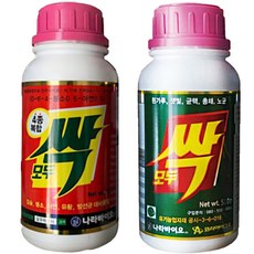 다육이무름