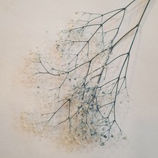 밍블랑 셀프인테리어 디퓨저재료 DIY 디퓨저 공병 섬유스틱 리필오일 디퓨저스틱, 1개, 투톤 미니안개꽃(터콰이즈) 2g