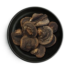 상황버섯 리뷰후기