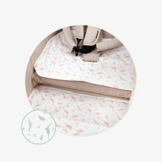 다이노이너시트