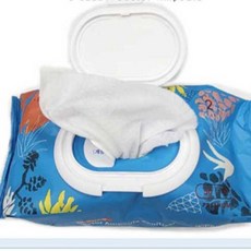 닥터앰플손소독