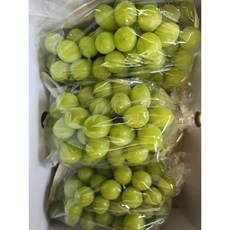 상주 문장대 샤인머스켓 2kg/4kg, 1박스, 2kg(3~4수)